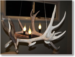 Bleached Triangle Up Antler Chandelier