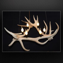 Antler Bleached Out